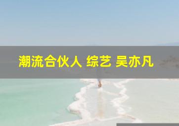 潮流合伙人 综艺 吴亦凡